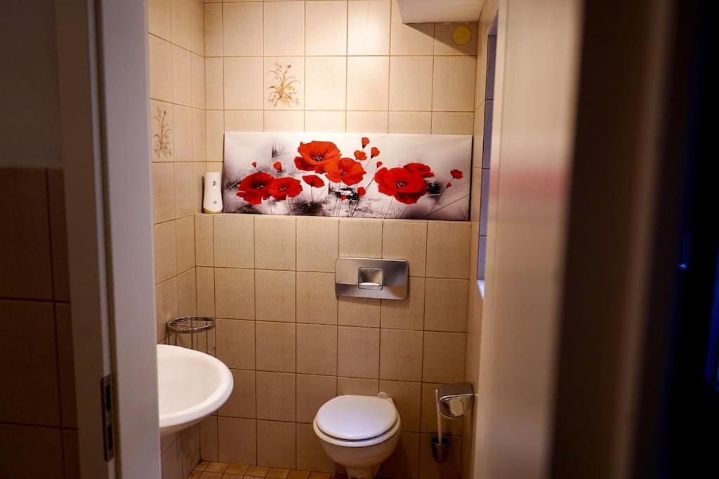 Helle Kellerwohnung Im Gruenen Mit Sauna Colonia Exterior foto